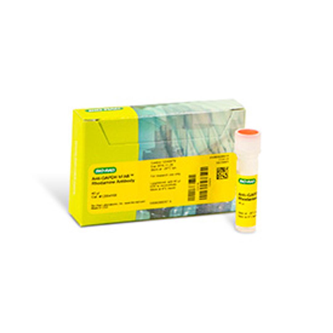 hFAB™ Rhodamine Anti-GAPDH Primary Antibody, 40 µl - Bio-Rad - Life Sciences
