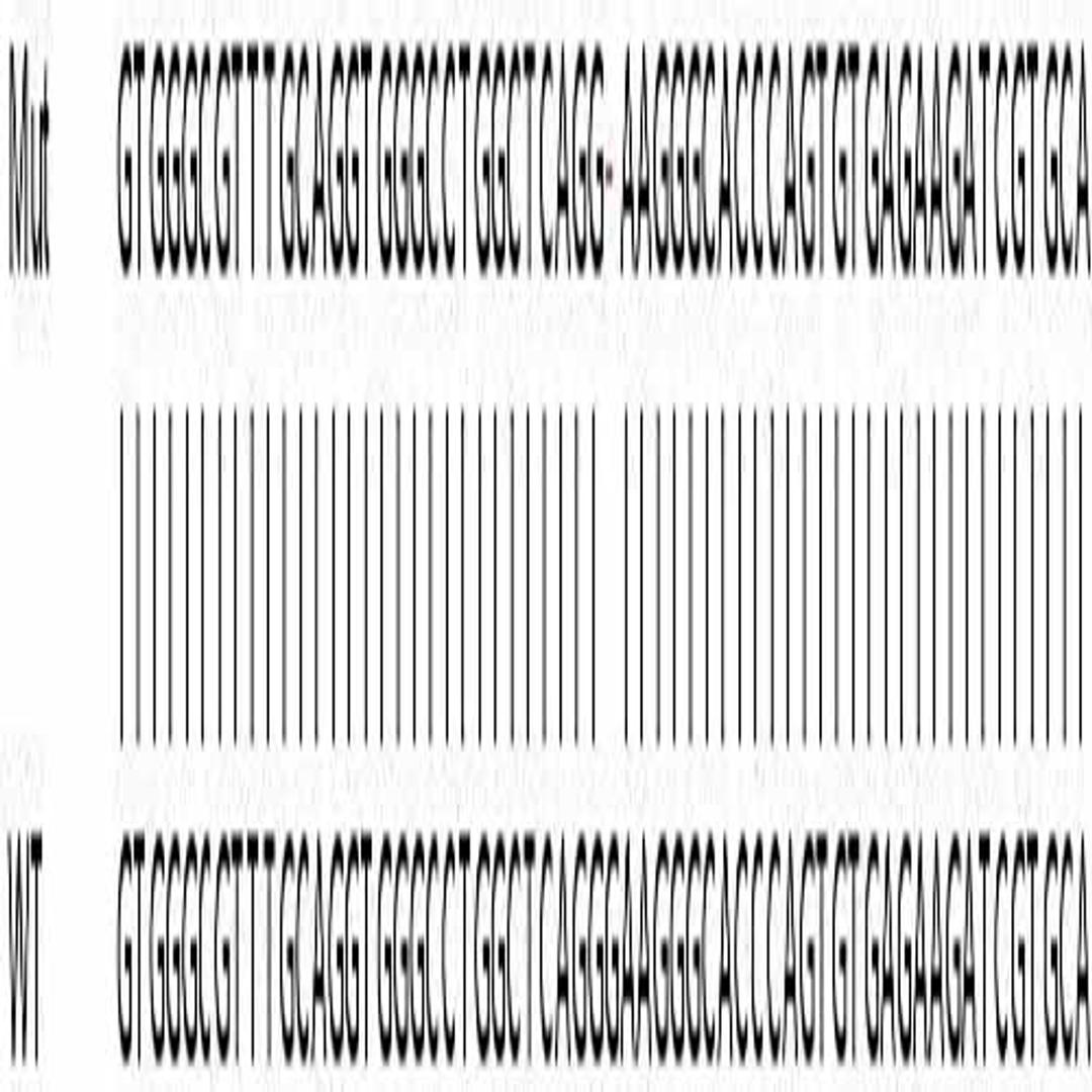 Human AK1 knockout HeLa cell line - Abcam plc - Life Sciences
