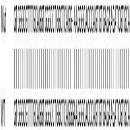 Human AK1 knockout HeLa cell line - Abcam plc - Life Sciences