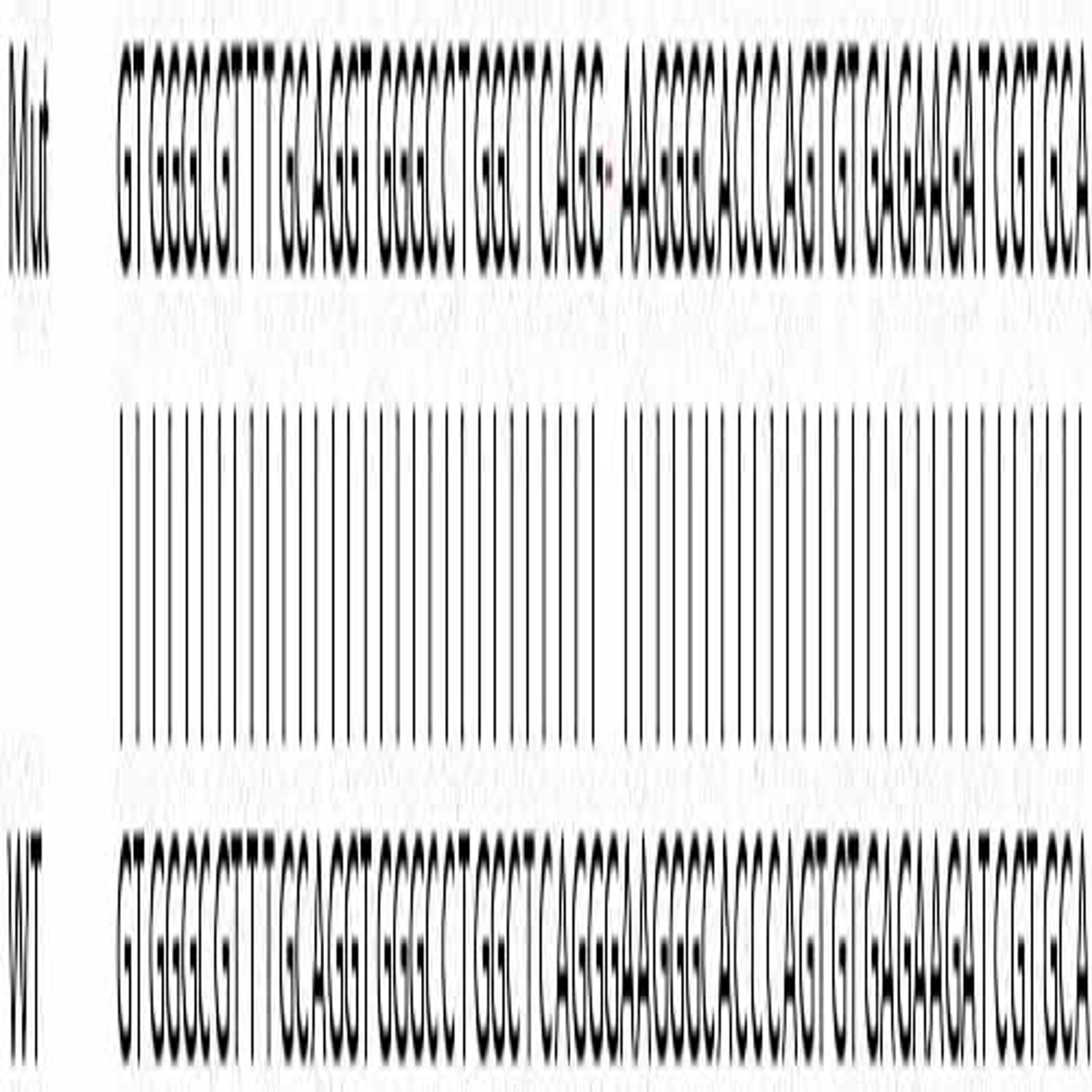 Human AK1 knockout HeLa cell line - Abcam plc - Life Sciences