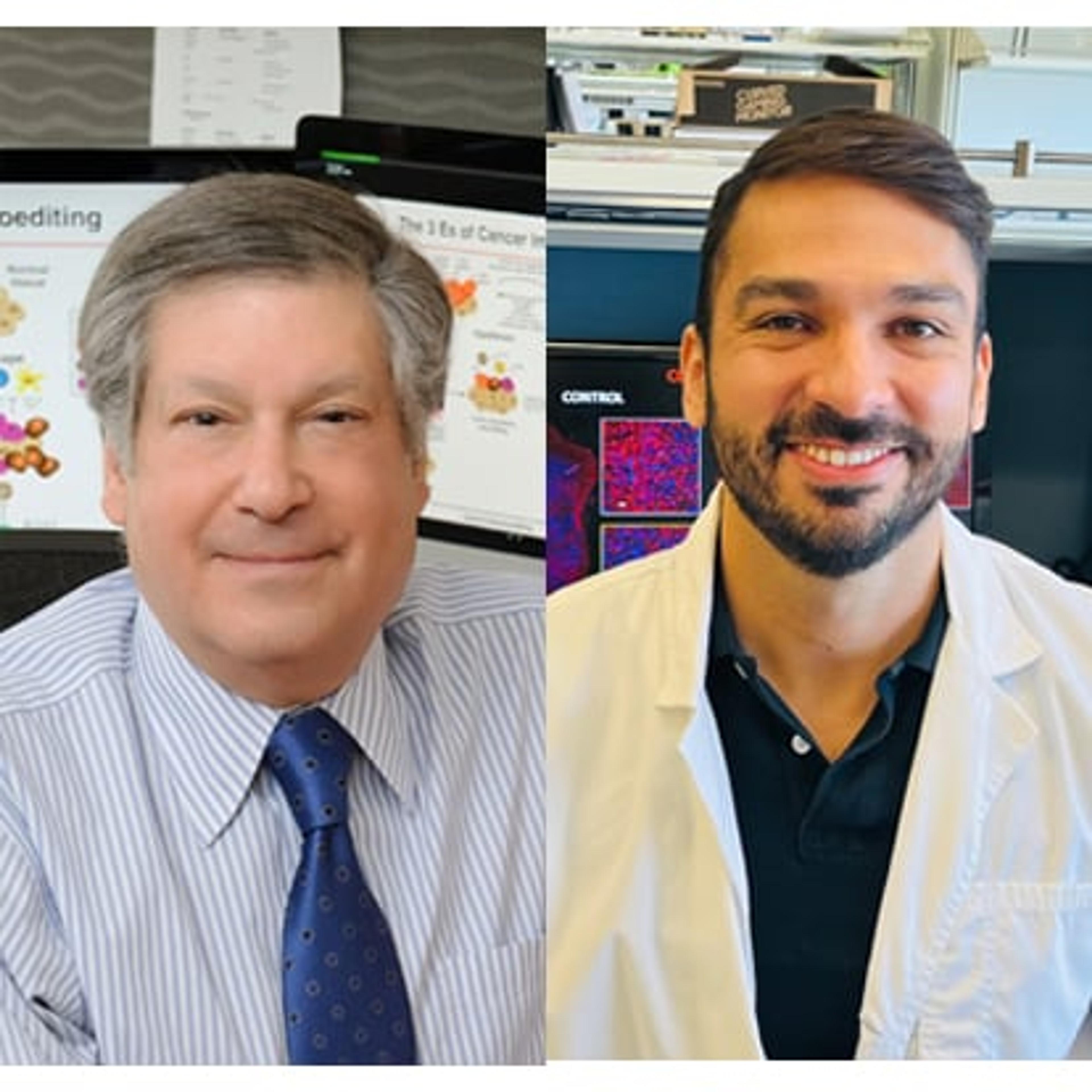 Spatial profiling the tumor microenvironment during successful Immune Checkpoint Therapy