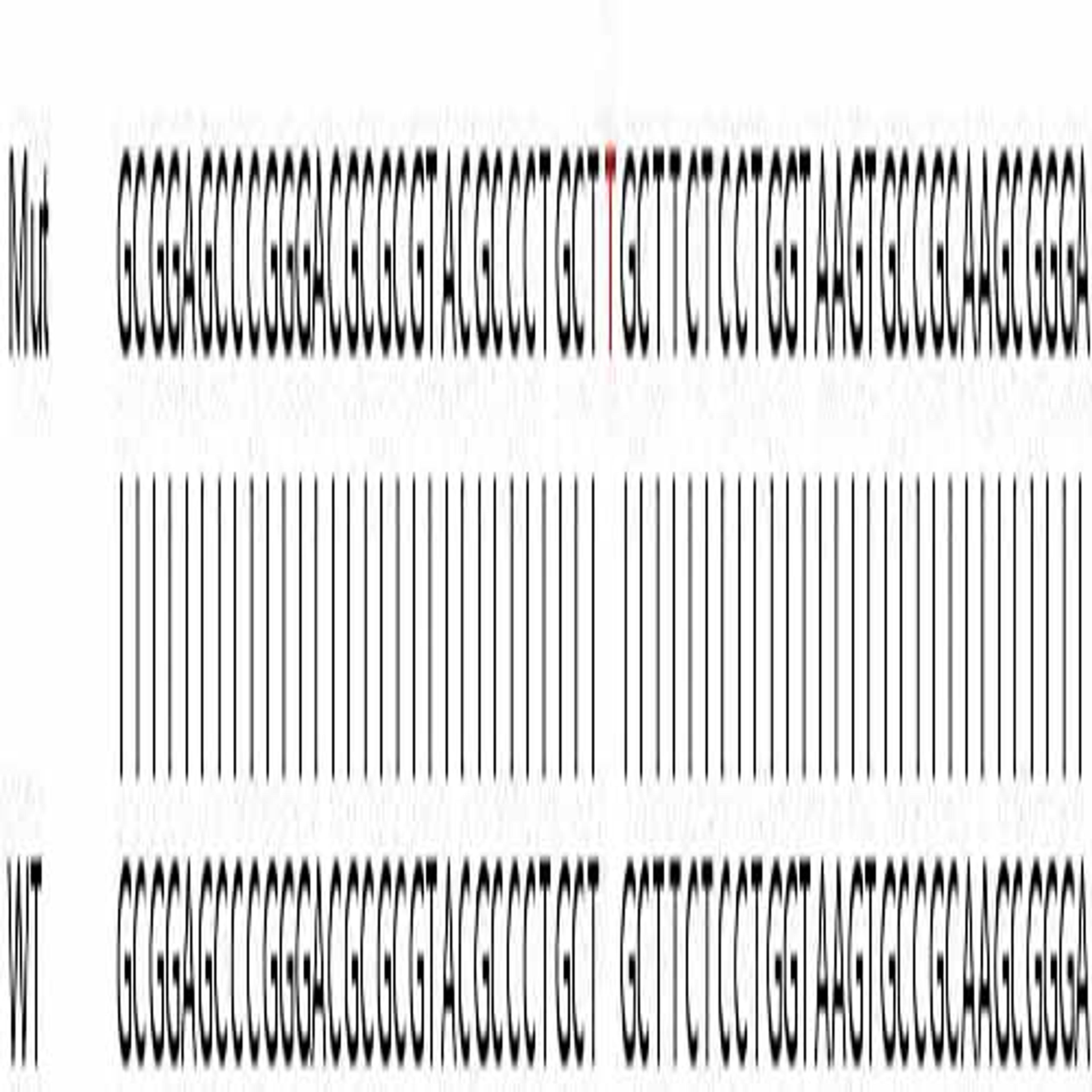 Human DSG2 (Desmoglein 2) knockout HeLa cell line - Abcam plc - Life Sciences