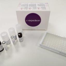 ELISA-ONE™ - Expedeon - Life Sciences