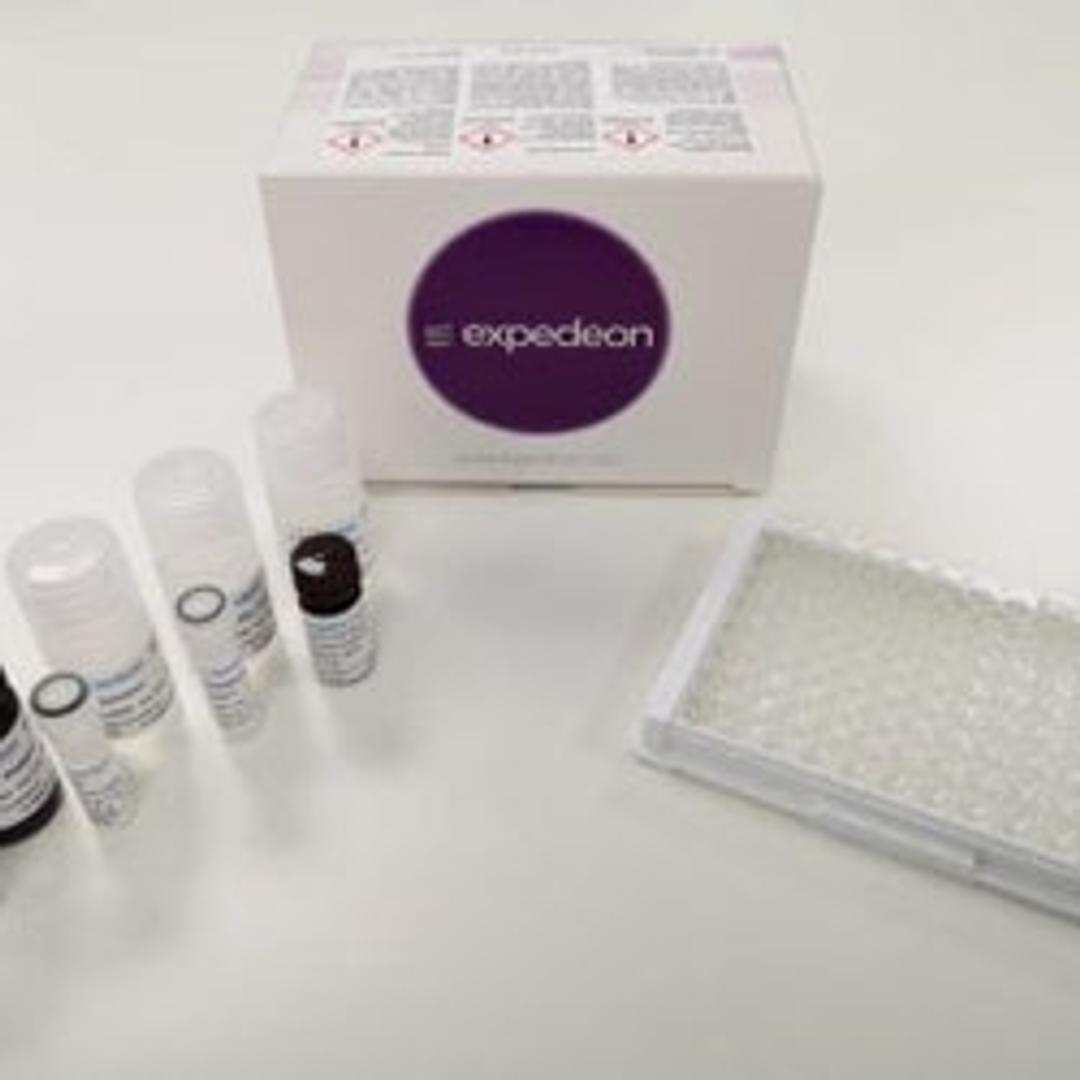 ELISA-ONE™ - Expedeon - Life Sciences