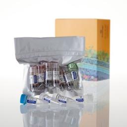 TNT® Quick Coupled Transcription/Translation System - Promega Corp. - Life Sciences