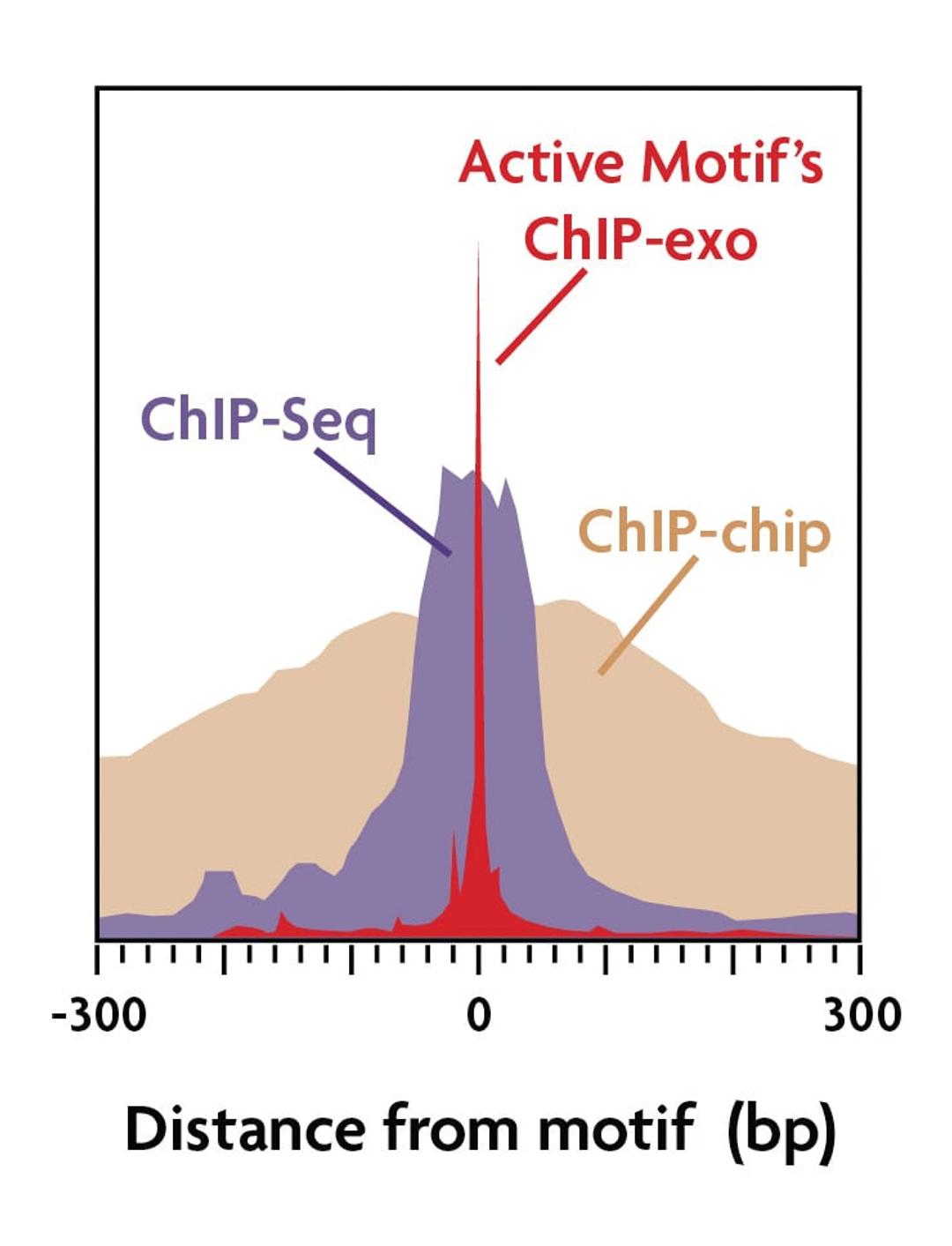 ChIP-exo High Resolution ChIP Assay - Active Motif - Life Sciences