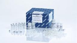 DNeasy PowerLyzer Microbial Kit (50) - QIAGEN