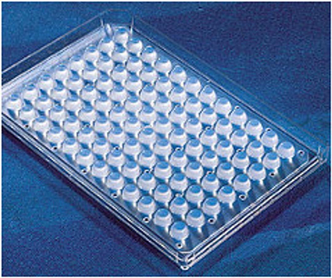 Corning® 96-well Robolid with Corner Notch, Nonsterile - Corning Life Sciences - Life Sciences