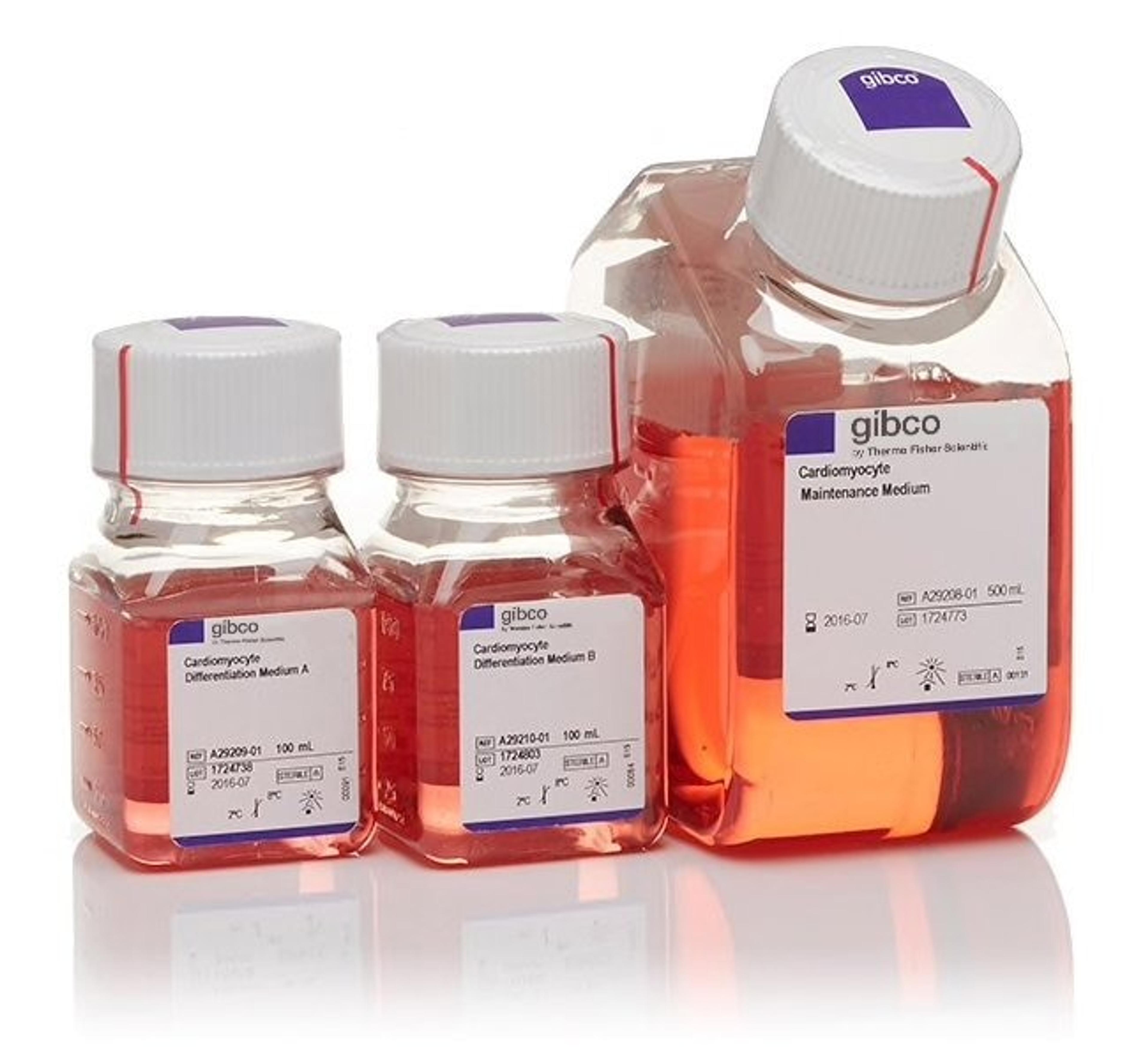 Gibco™ PSC Cardiomyocyte Differentiation Kit - Thermo Fisher Scientific