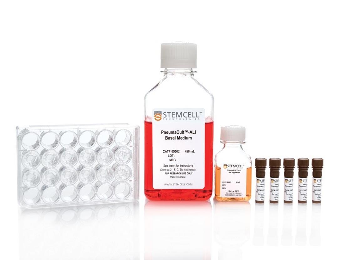 PneumaCult™-ALI Medium with 6.5 mm Transwell® Inserts - STEMCELL Technologies Inc. - Life Sciences