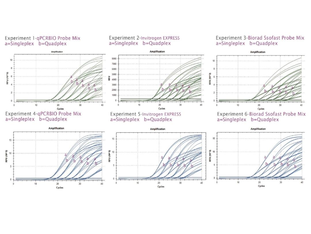 Least inhibition at single & multiplex PCR