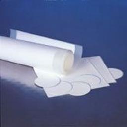 BioTrace™ NT Nitrocellulose Transfer Membrane - Pall Life Sciences - Laboratory, Food, Beverage - Life Sciences