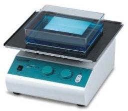 Orbit™ LS Low Speed Shaker - Labnet International - General Lab