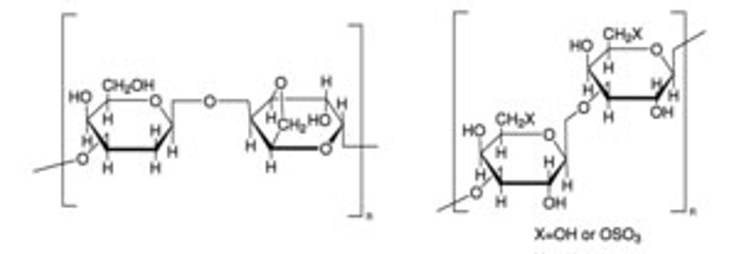 Agar - Merck - Life Sciences