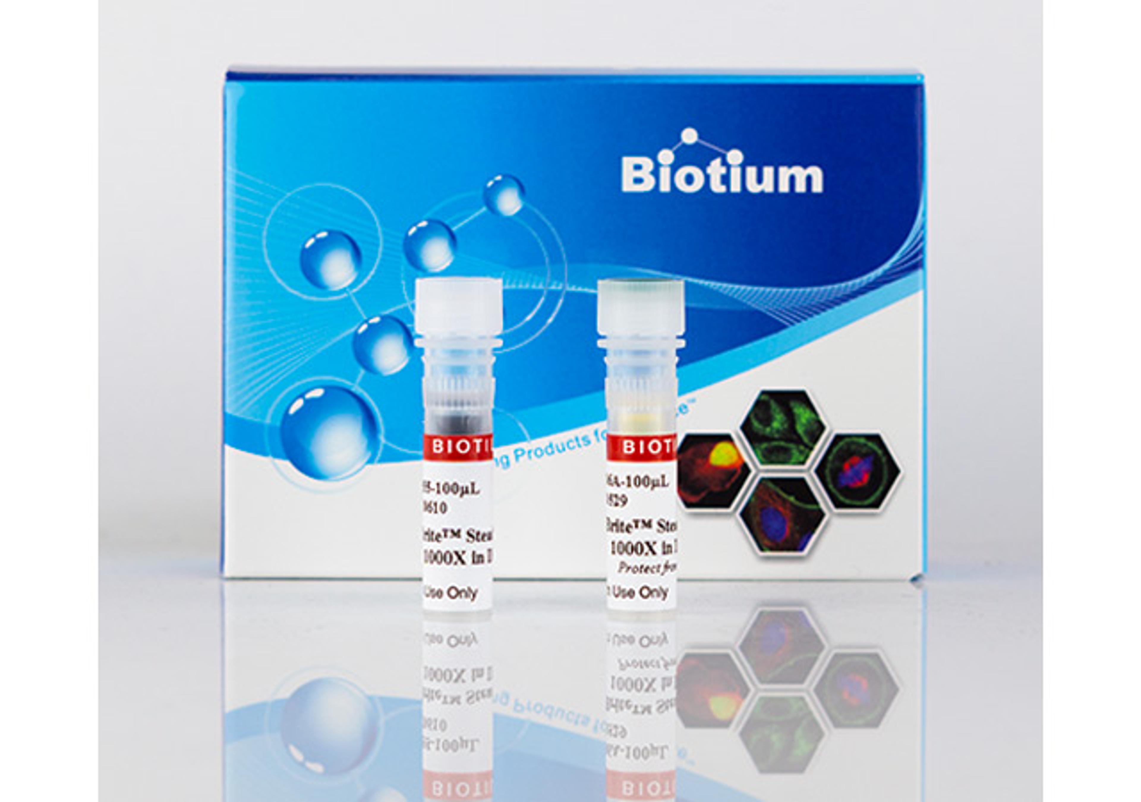 CellBrite® Steady Membrane Staining Kits - Biotium - Life Sciences