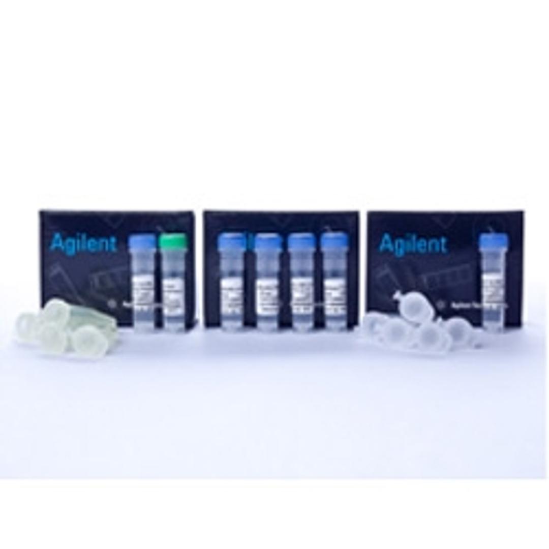 BJ5183-AD-1 Electroporation Competent Cells - Agilent Technologies - Life Sciences