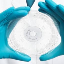 Gyrolab® Bioaffy™ 200 - Gyros Protein Technologies - Life Sciences