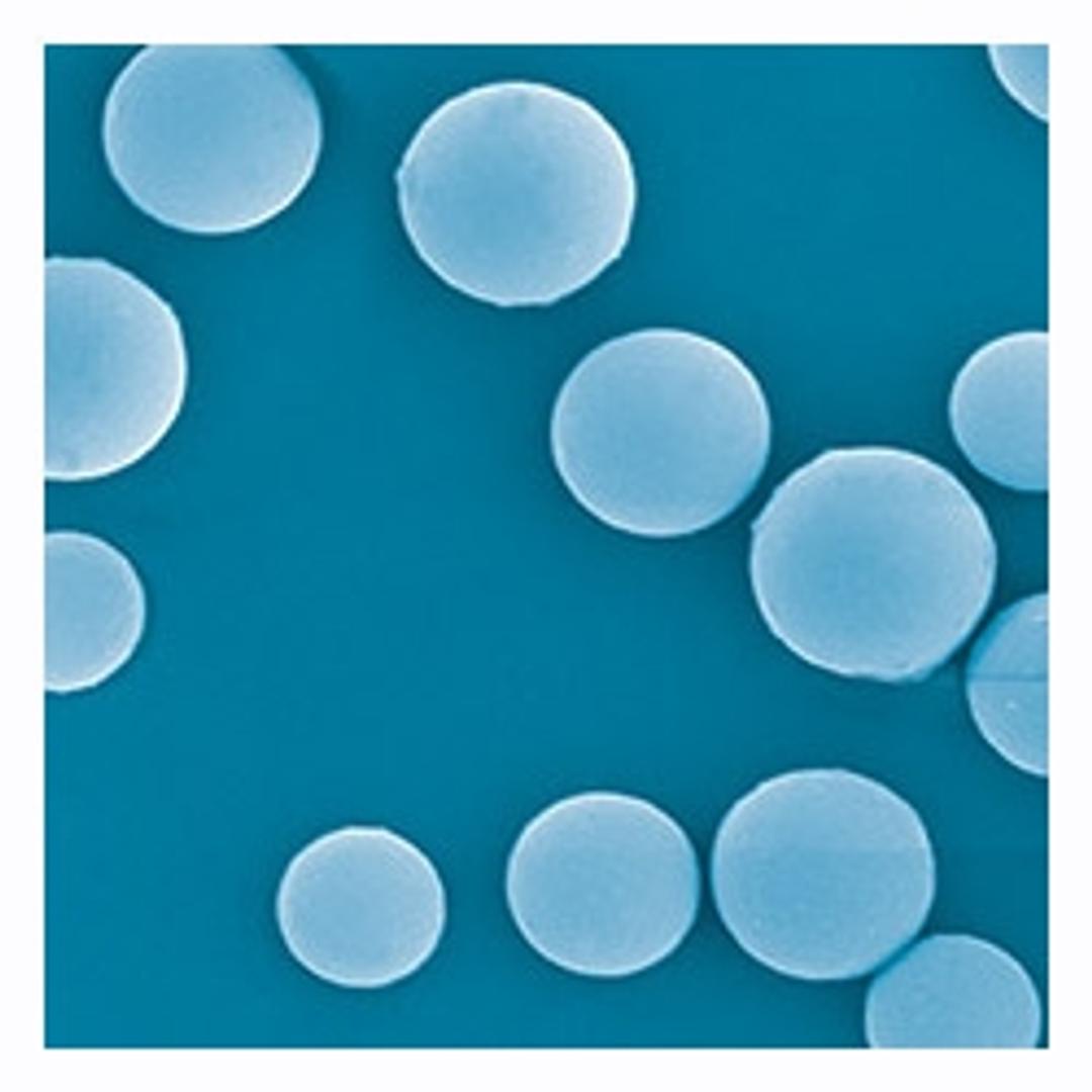 Bulk HPLC & Preparative Spherical Medias - SiliaSphere® - SiliCycle Inc. - Separations