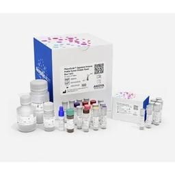 PhenoCode Signature Immune Profile Human Protein Panel - Akoya Biosciences - Clinical Diagnostics