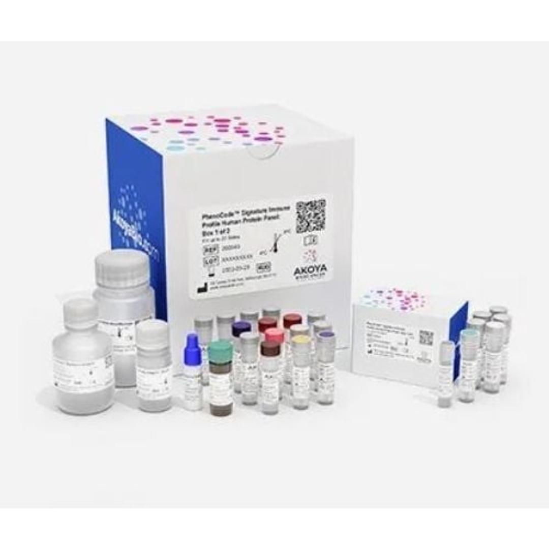 PhenoCode Signature Immune Profile Human Protein Panel - Akoya Biosciences - Clinical Diagnostics