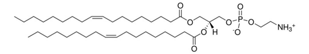 Avanti® Polar Lipids 18:1 (Δ9-Cis) PE (DOPE) - Merck KGaA, Darmstadt, Germany - Drug discovery > Drug Manufacturing