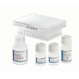 OligoWorks™ SPE Kits & Components - Waters - Life Sciences
