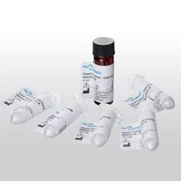 Yeast Control™ - Cell Cycle - Sysmex Europe SE - Life Sciences