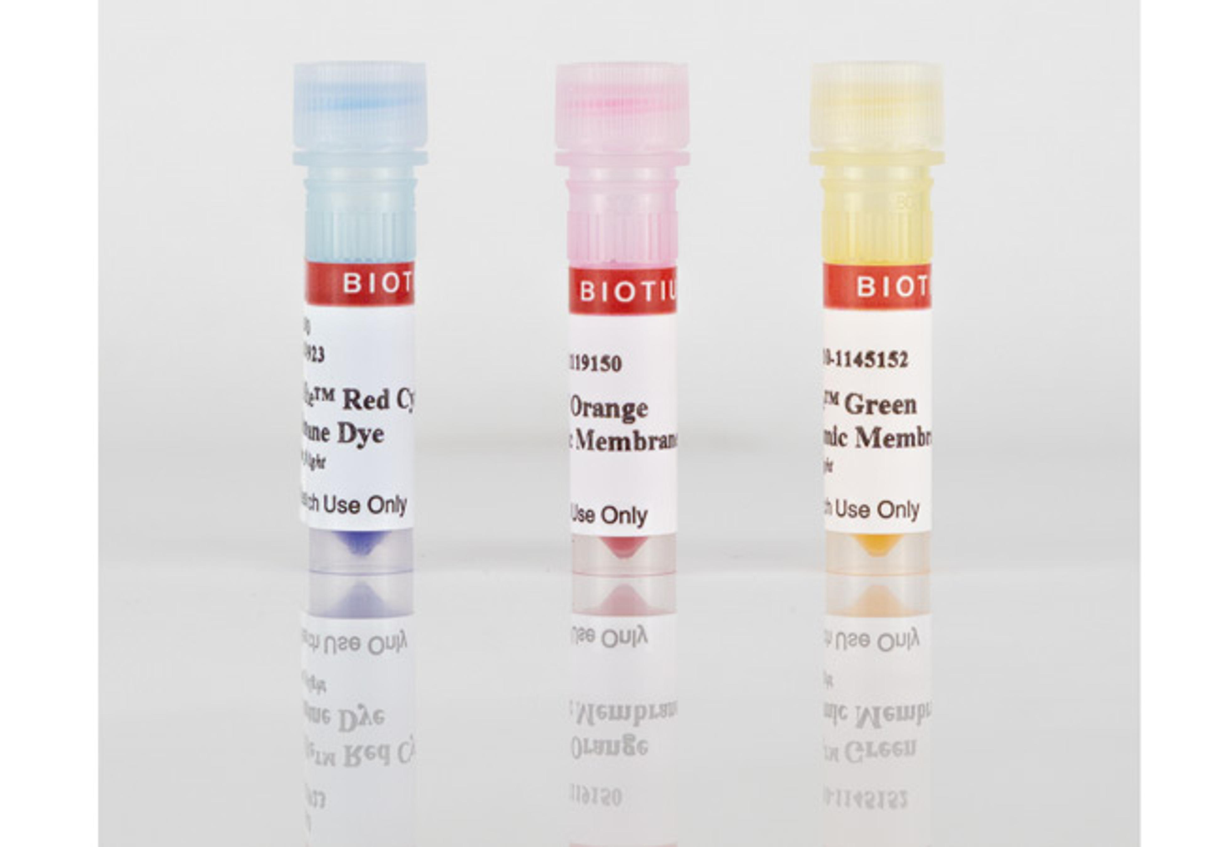 CellBrite® Cytoplasmic Membrane Dyes - Biotium - Life Sciences
