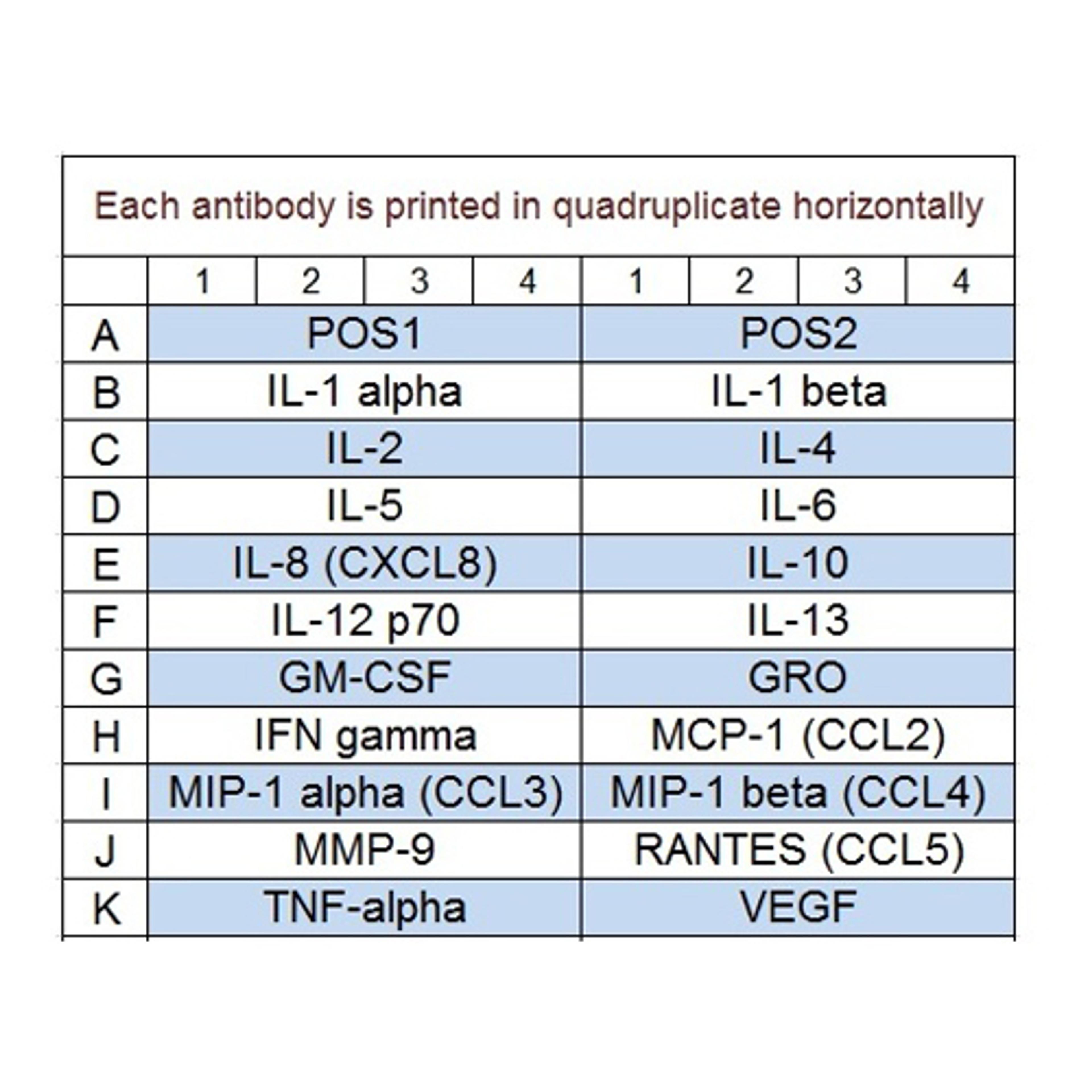Human Cytokine Array Q1 - RayBiotech Inc. - Life Sciences
