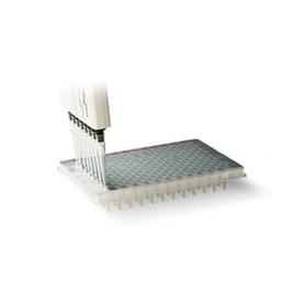 PCR Plate Heat Seal, foil, pierceable - Bio-Rad - Life Sciences