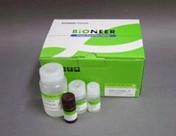 DNA PrepMate™ - II; Bacteria, PCR product, agarose gel fragment, enzyme reation mixtures, 150 extractions - Bioneer - Life Sciences