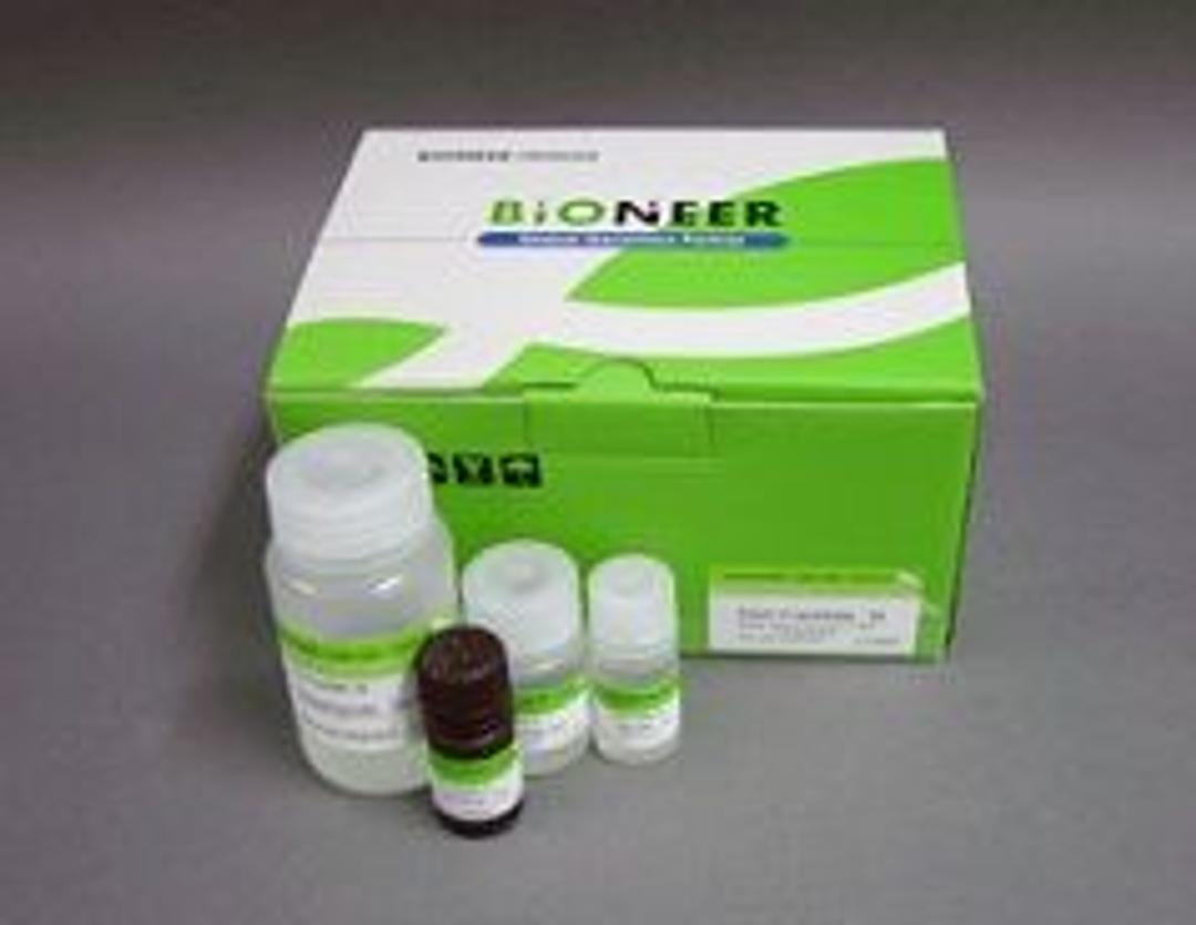 DNA PrepMate™ - II; Bacteria, PCR product, agarose gel fragment, enzyme reation mixtures, 150 extractions - Bioneer - Life Sciences