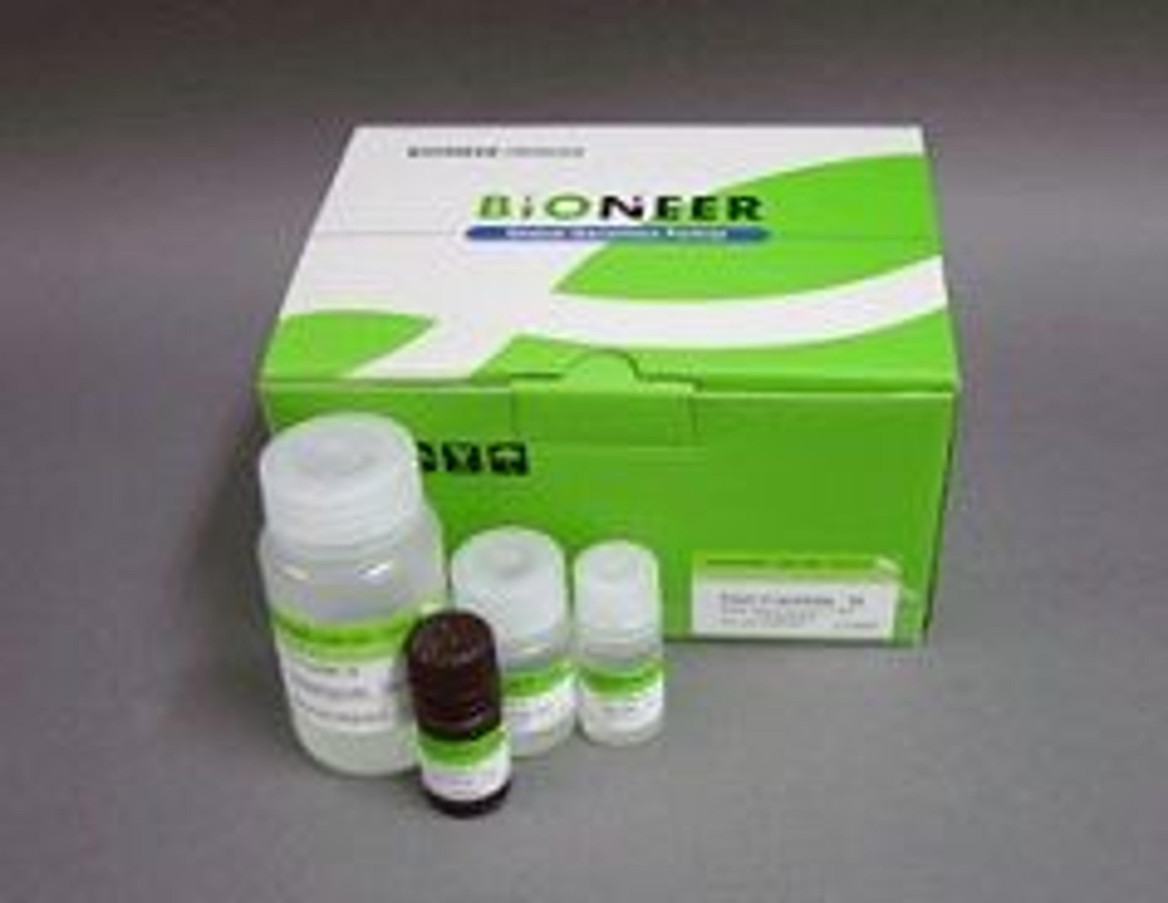 DNA PrepMate™ - II; Bacteria, PCR product, agarose gel fragment, enzyme reation mixtures, 150 extractions - Bioneer - Life Sciences