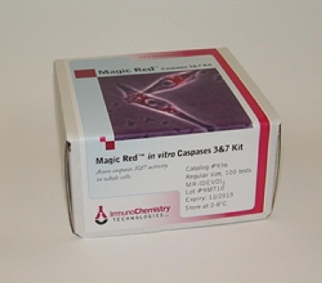 Magic Red™ Caspase 3 & 7 Assay Kit - Immunochemistry Technologies LLC - Life Sciences