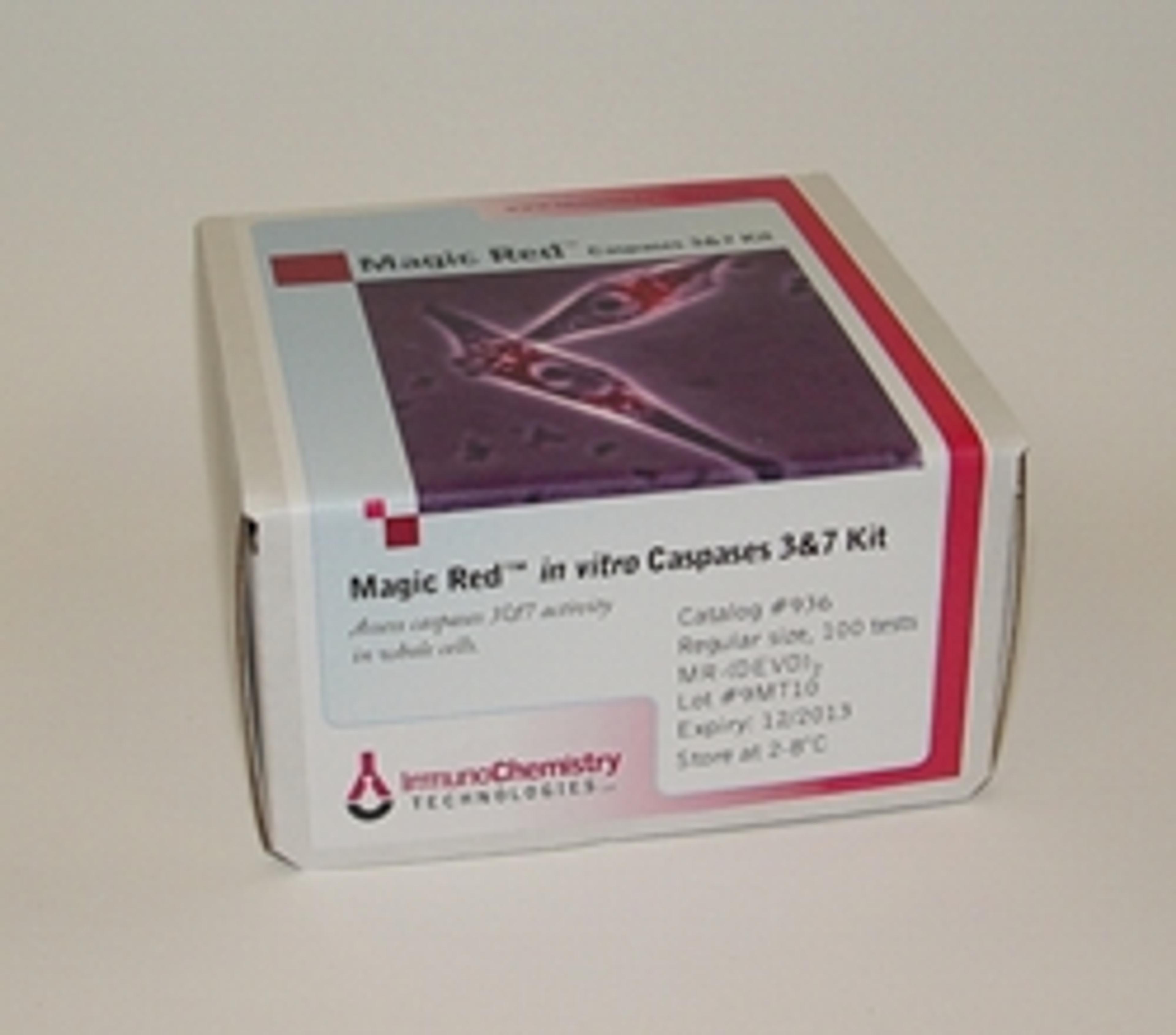Magic Red™ Caspase 3 & 7 Assay Kit - Immunochemistry Technologies LLC - Life Sciences