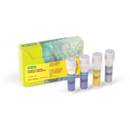 ReadiLink 405/454 Antibody Labeling Kit - Bio-Rad - Life Sciences