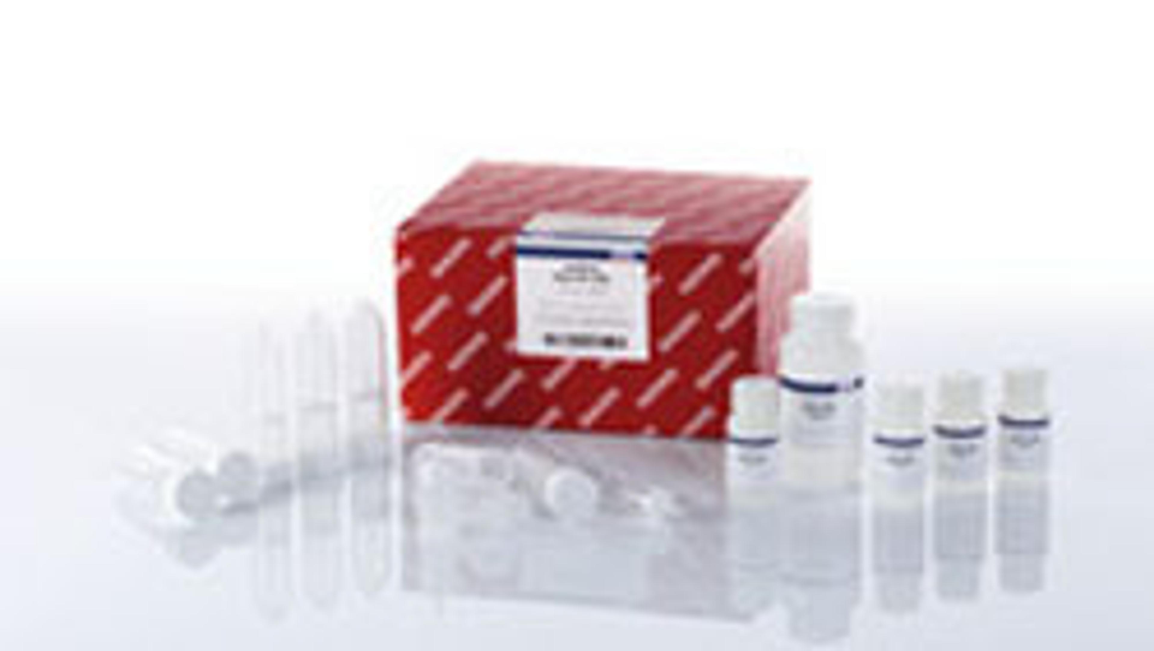 Buffer XBP (250 ml) - QIAGEN