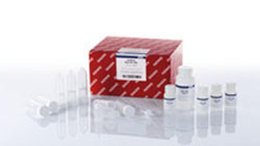 Buffer XBP (250 ml) - QIAGEN