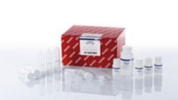 Buffer XBP (250 ml) - QIAGEN