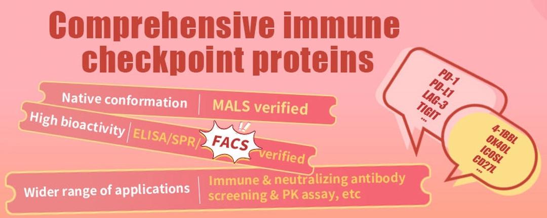 Immune Checkpoint Proteins - ACROBiosystems - Life Sciences