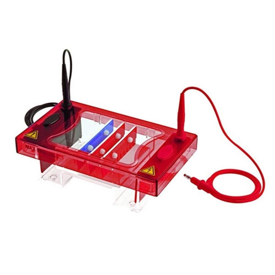 SynMidi - Syngene - Life Sciences