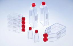 CELLSTAR® Standard Cell Culture Flasks - Greiner Bio-One GmbH  - Life Sciences