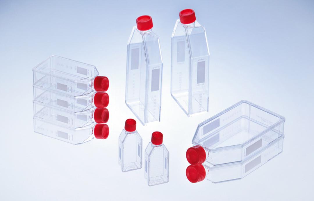 CELLSTAR® Standard Cell Culture Flasks - Greiner Bio-One GmbH - Life Sciences