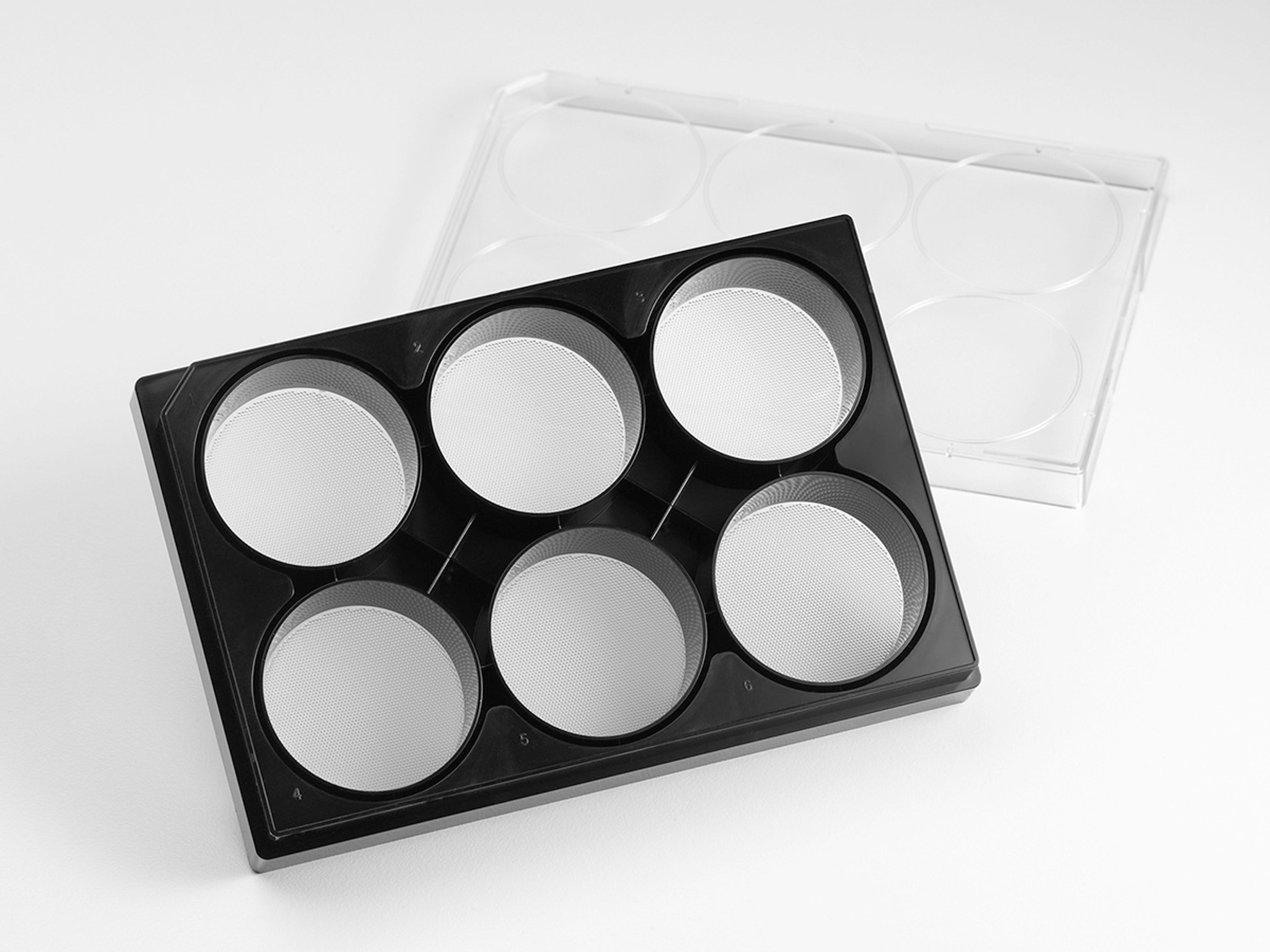 Corning® Elplasia® 6-well Black/Clear Round Bottom Ultra-Low Attachment, Microcavity Plate, with Lid - Corning Life Sciences