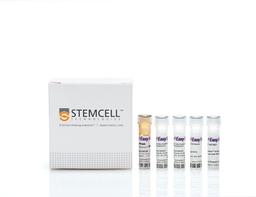 EasySep™ Mouse CD8a Positive Selection Kit II - STEMCELL Technologies Inc. - Life Sciences