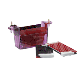 E-blotter Complete System (VGES Vertical Electrophoresis System) - Wealtec