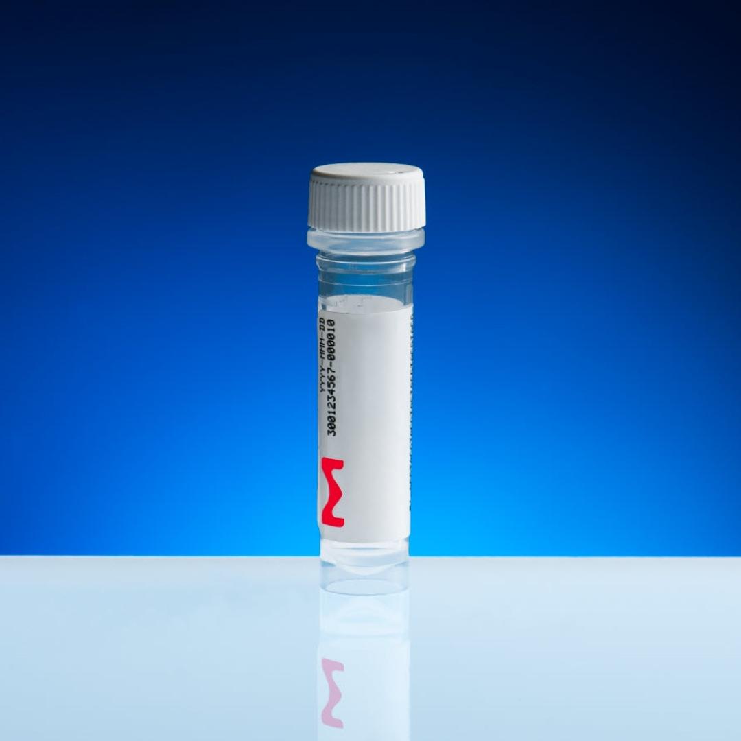 Antisense Oligonucleotides - Merck - Life Sciences