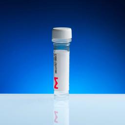 Antisense Oligonucleotides - Merck - Life Sciences