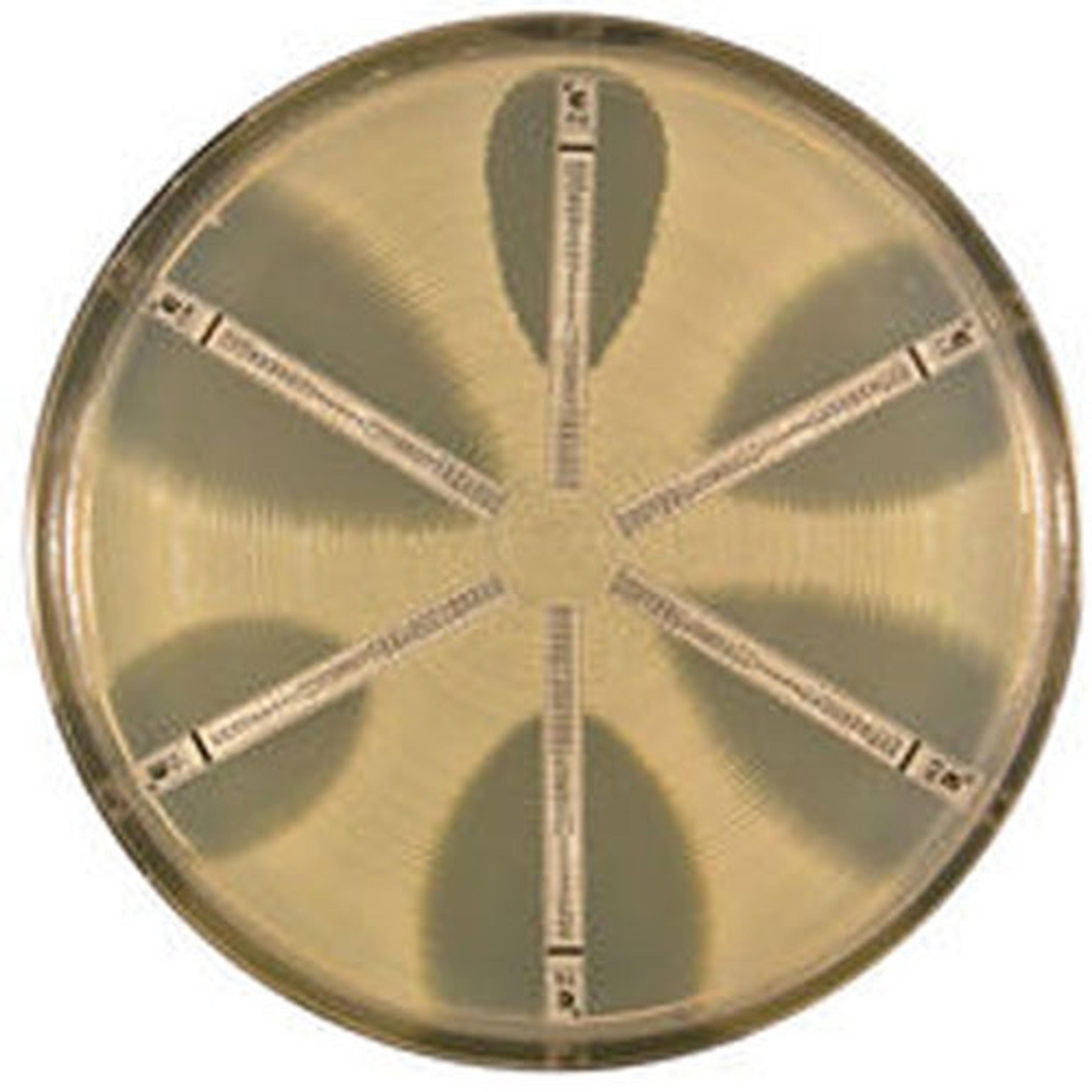 ETEST® - bioMérieux USA - Life Sciences