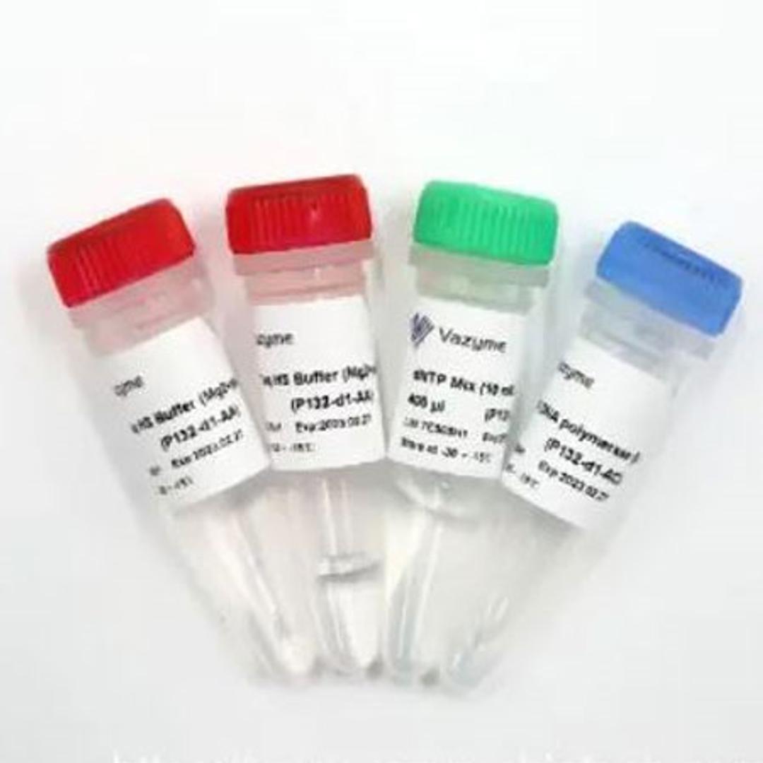 Taq HS DNA Polymerase - Vazyme Biotech Co., Ltd - Life Sciences